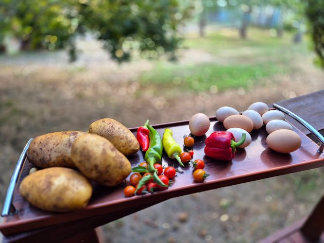 Achieving Independence NDIS Service in 